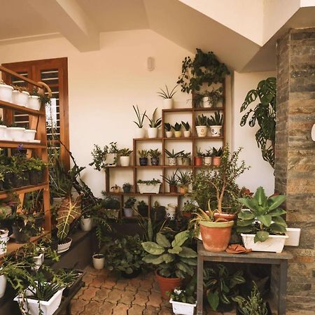 Mistygreen Homestay טקאדי מראה חיצוני תמונה