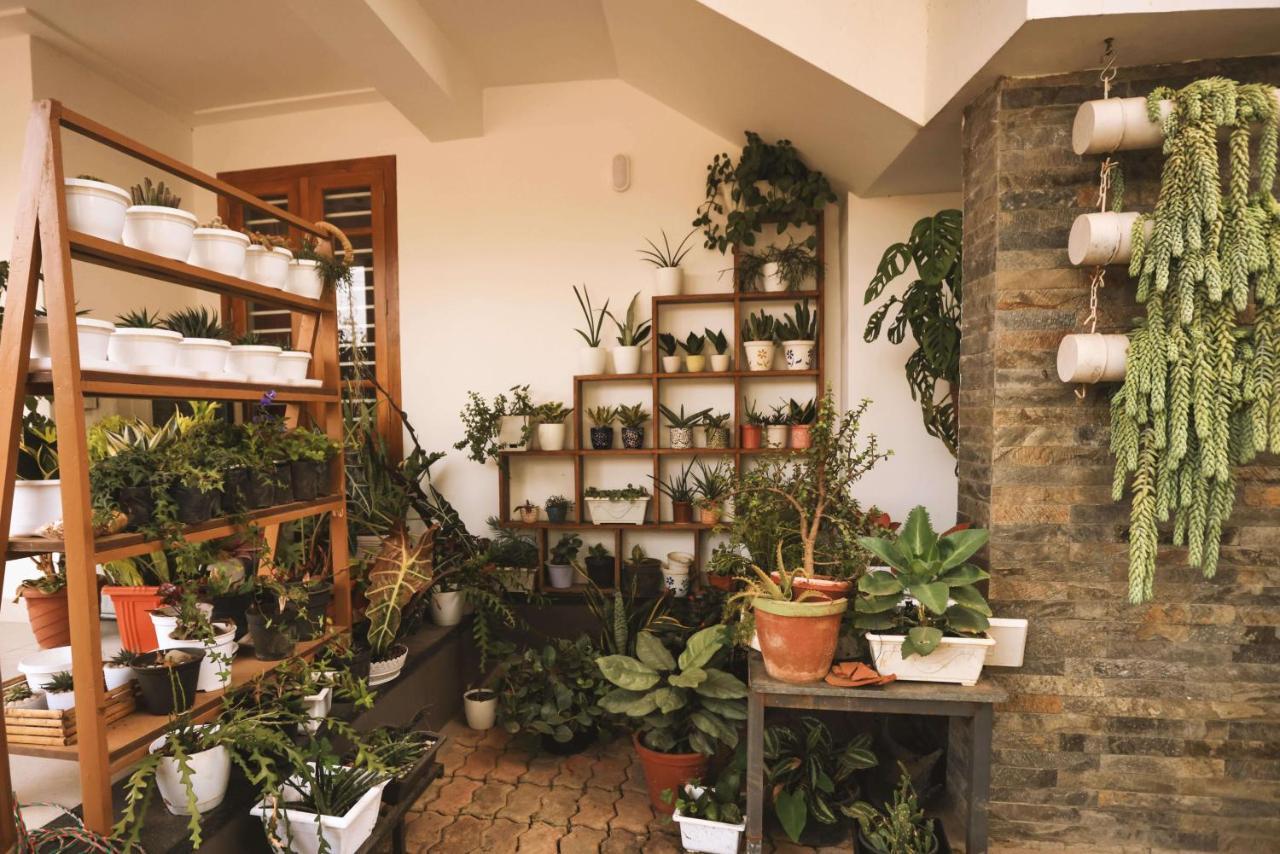 Mistygreen Homestay טקאדי מראה חיצוני תמונה